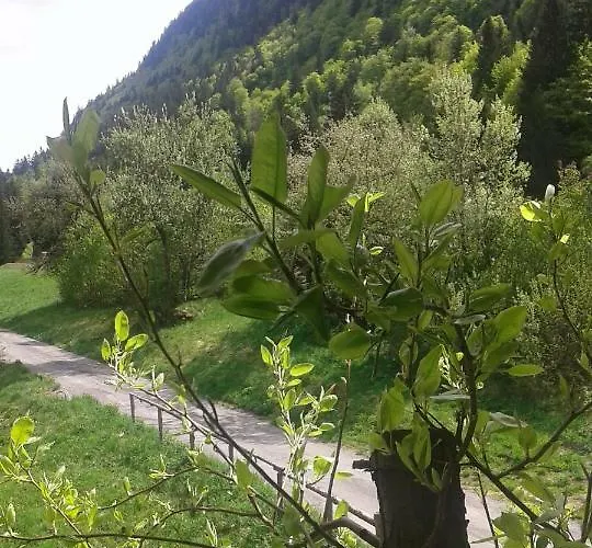 Appartement La Chavache Montriond